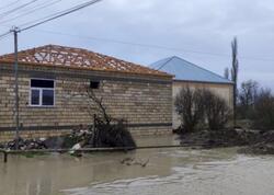 Su basan evlərdə yaşayanlar risk altındadır -  Tənəffüs yolları, bronxlar və ağciyərlər...