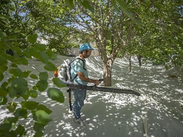 Təbiətdə pulsuz yetişən bu möcüzə vücudu başdan-ayağa yeniləyir