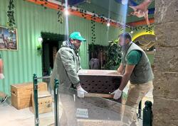 Qanunsuz saxlanılan vəhşi heyvanlar xilas edildi - <span class="color_red">FOTO</span>