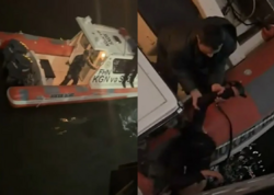 Bulvarda gənc qız son anda xilas edildi - <span class="color_red">VİDEO</span>