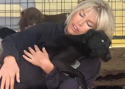 Məşhur türk müğənni itləri üçün VİLLA TİKDİRDİ - <span class="color_red">FOTOlar</span>