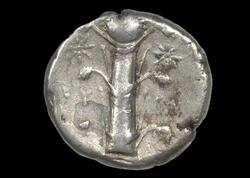 İnsanlar doğum nəzarəti və afrodizyak üçün bu bitkiyə aludə idilər