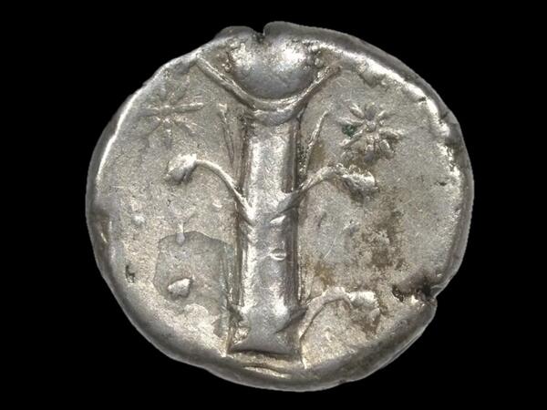 İnsanlar doğum nəzarəti və afrodizyak üçün bu bitkiyə aludə idilər