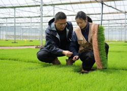 Səhrada yaşıl möcüzə: Çin Taklamakanı əkin sahəsinə çevirir - <span class="color_red">FOTO</span>