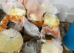 Bakıda süd məhsulları istehsal edən müəssisənin fəaliyyəti dayandırıldı