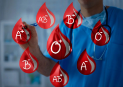 Dünyanın ən nadir qan qrupu – “Qızıl qan” Azərbaycanda varmı?