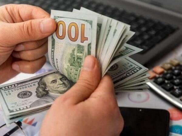 "Elə sahələr var ki, orda qabaqlayıcı tədbirlər görülməyəndə yeyintilər 100 milyona çatır"