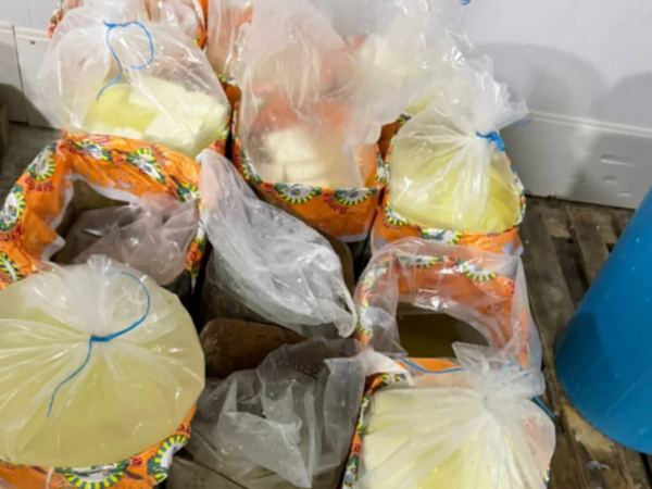 Bakıda süd məhsulları istehsal edən müəssisənin fəaliyyəti dayandırıldı