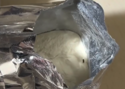 Uşaq qidasından həşərat çıxıb?