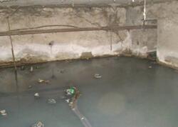 Paytaxtda təhlükə: zirzəmiləri su basan binalar artır