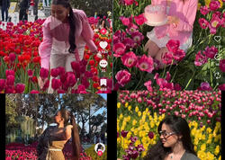 Bulvarda gülləri əzənlər tanınmış blogerlər imiş - ADLAR - FOTO