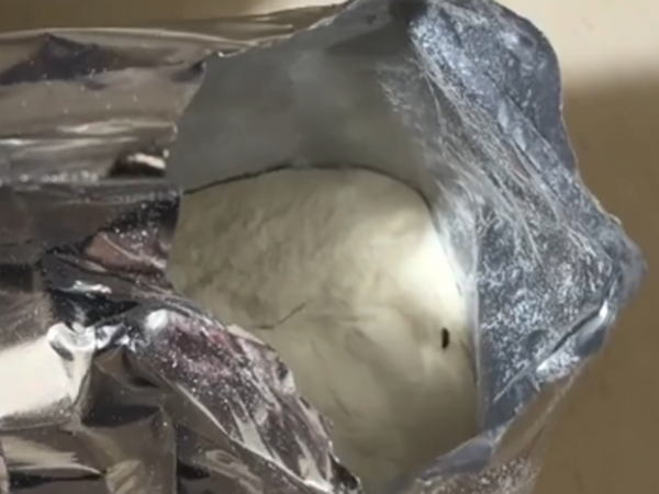 Uşaq qidasından həşərat çıxıb?