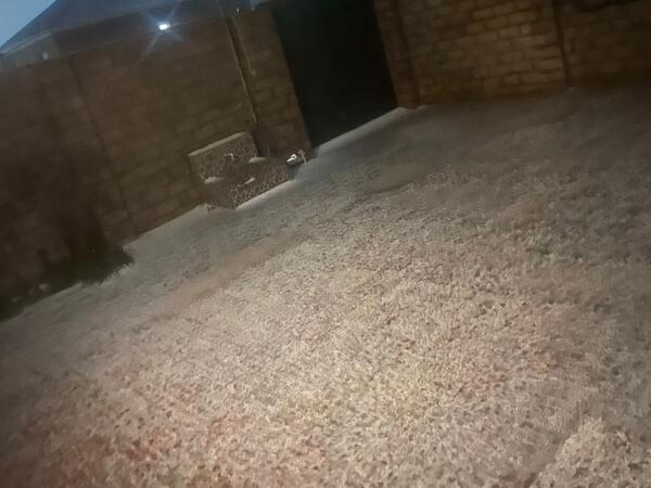 Bakının bəzi ərazilərinə dolu yağır - <span class="color_red">VİDEO</span>