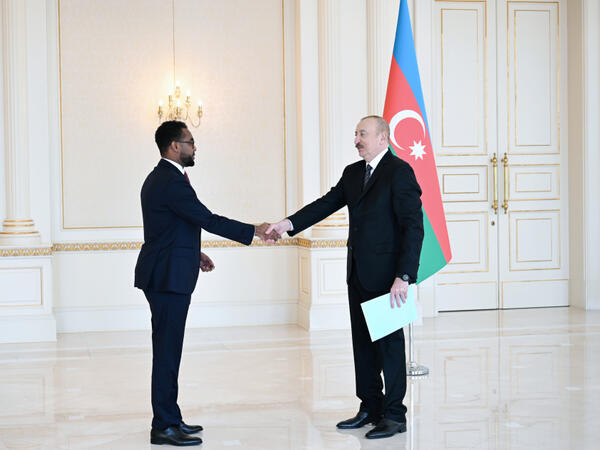 Prezident İlham Əliyev Somalinin Azərbaycana yeni təyin olunmuş səfirini qəbul edib - <span class="color_red">FOTO</span>