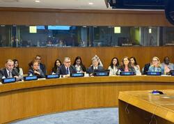 “ASAN xidmət” BMT-nin Ekspertlər Komitəsinin sessiyasında müzakirəyə çıxarıldı - <span class="color_red">FOTO</span>