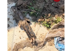 Hovuz qazırdılar, cadu TAPDILAR - <span class="color_red">VİDEO</span>