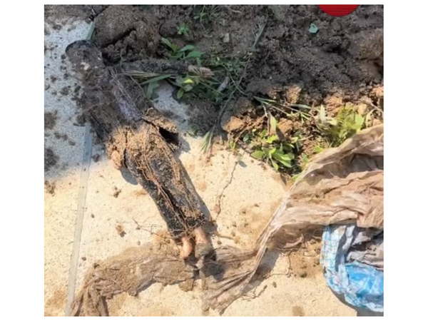 Hovuz qazırdılar, cadu TAPDILAR - <span class="color_red">VİDEO</span>