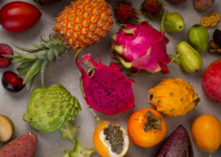 Ekzotik meyvə idxalı Azərbaycanda 21%-ə yaxın yüksəlib