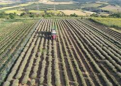 Bir damla su istəmədən sərvət qazandırır