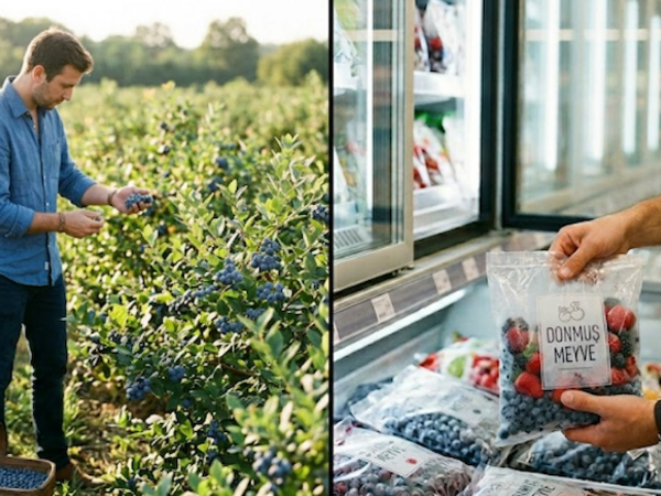 Bu meyvəni budaqdan deyil, soyuducudan yeyin: Donmuş halı daha sağlam imiş