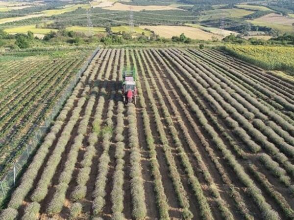 Bir damla su istəmədən sərvət qazandırır