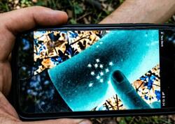 Gənələri aşkar etmək artıq çox asandır: Telefonunuzda bu rejimi açın