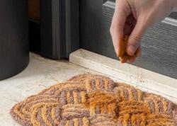 Qapının ağzına bir ovuc darçın səpin: O problemdən sonsuzadək qurtulun