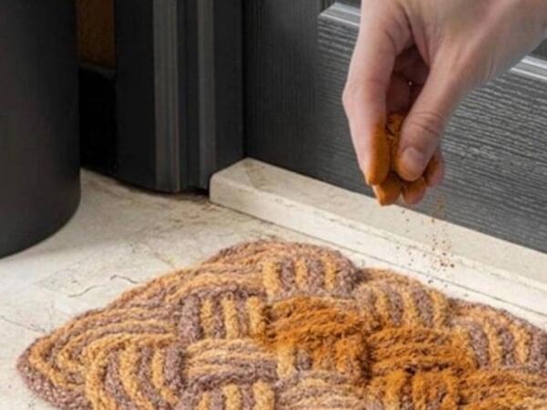 Qapının ağzına bir ovuc darçın səpin: O problemdən sonsuzadək qurtulun