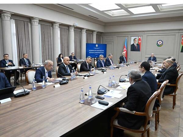 İqtisadi Şurada kənd təsərrüfatının gələcək inkişaf istiqamətləri müzakirə olunub