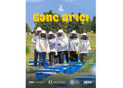 Leyla Əliyevanın təşəbbüsü ilə icra edilən “Gənc arıçı” layihəsinin növbəti ünvanı Yevlax olacaq