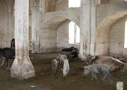 "Allahın evini dağıdan insana məxsus olanı daha asan məhv edər"