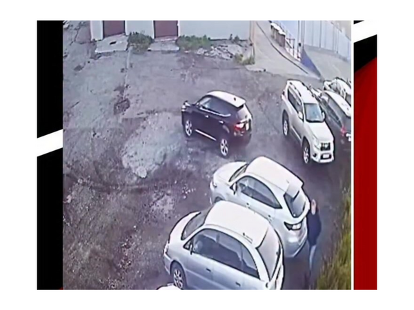 Ayı "parkovka"ya hücum etdi - Son anda ölümdən QURTULDU - <span class="color_red">VİDEO</span>