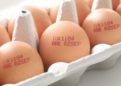 Yumurta alarkən mütləq koduna baxın - <span class="color_red">FOTO</span>