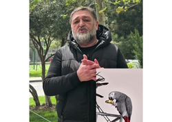 Bakıda hamının axtardığı quş tapıldı - <span class="color_red">VİDEO</span>