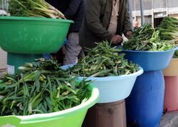 Dağlardan yığıb bazarda kilosunu 20 manata satırlar - <span class="color_red">FOTO</span>