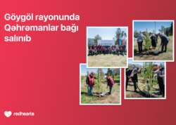 Göygöldə “Qəhrəmanlar bağı” aksiyası həyata keçirilib