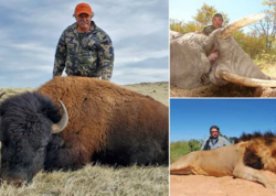 Milyoneri fillər tapdalayıb öldürdü