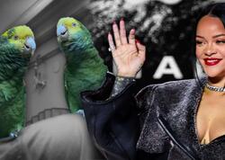 2 tutuquşu Rihannanın mahnısını özündən yaxşı OXUYUR - <span class="color_red">VİDEO</span>