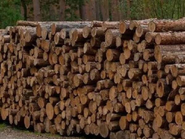 Günün 24 saatı elektrik istehsal edən taxta hazırlandı