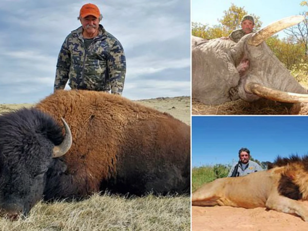 Milyoneri fillər tapdalayıb öldürdü