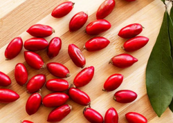 Bu meyvədən bir dəfə dişləyən bibər də yesə bal dadı alır