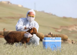 Ağır qəzada ölən baytarın <span class="color_red">FOTOsu</span>