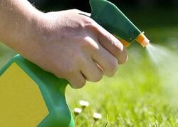 Kimyəvi maddə istifadə etmədən alaq otlarını yox edən sadə üsul