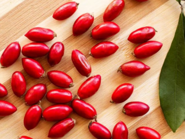 Bu meyvədən bir dəfə dişləyən bibər də yesə bal dadı alır