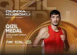 Azərbaycan boksçusu Dünya Kubokunda qızıl medal qazanıb