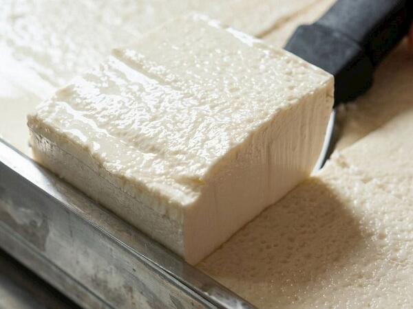 Soyuducuda qatıq mayalamaq olar?