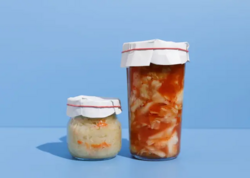 Bağırsaq sağlamlığını yaxşılaşdırmağın 5 elmi yolu