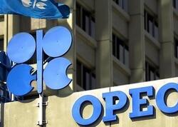 BƏƏ OPEC-dən çıxır