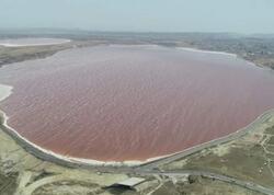 Qotur göllə bağlı zəruri tədbirlər görüləcək