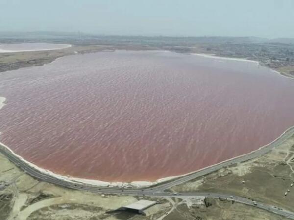 Qotur göllə bağlı zəruri tədbirlər görüləcək